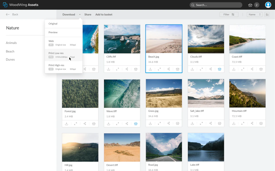 screenshot of WoodWing Assets